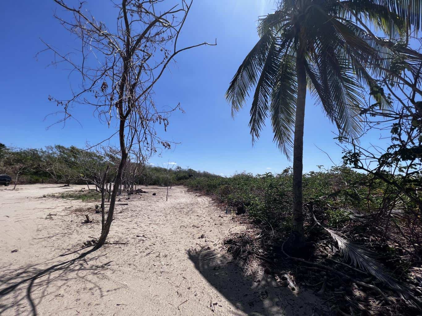 Beachfront Lot 9002.3 Sq Feet Playa Ventanas/Playa Grande: Beachfront Delight in Playa Ventanas