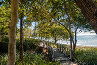 EL Prado Lot 89 - Ocean View Oasis: A Luxurious Las Catalinas Homesite thumbnail