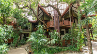 Monkey Bar Property - Development Parcels: Prime Development Opportunities at Monkey Bar thumbnail