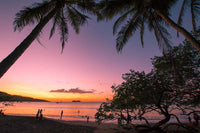 Monkey Bar Property - Development Parcels: Prime Development Opportunities at Monkey Bar thumbnail