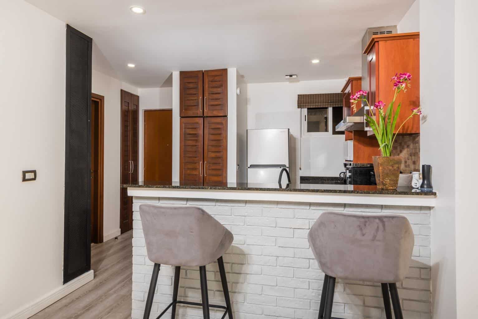 Naxos 7, Newly Renovated 1 Bed Condominium: Modern Comfort at Naxos 7