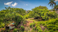 Poston Lot: Your Canvas for Building the Perfect Retreat thumbnail