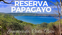 Reserva Papagayo: Explore the Wonders of Papagayo thumbnail