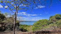 Reserva Papagayo: Explore the Wonders of Papagayo thumbnail