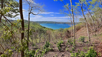 Reserva Papagayo: Explore the Wonders of Papagayo thumbnail