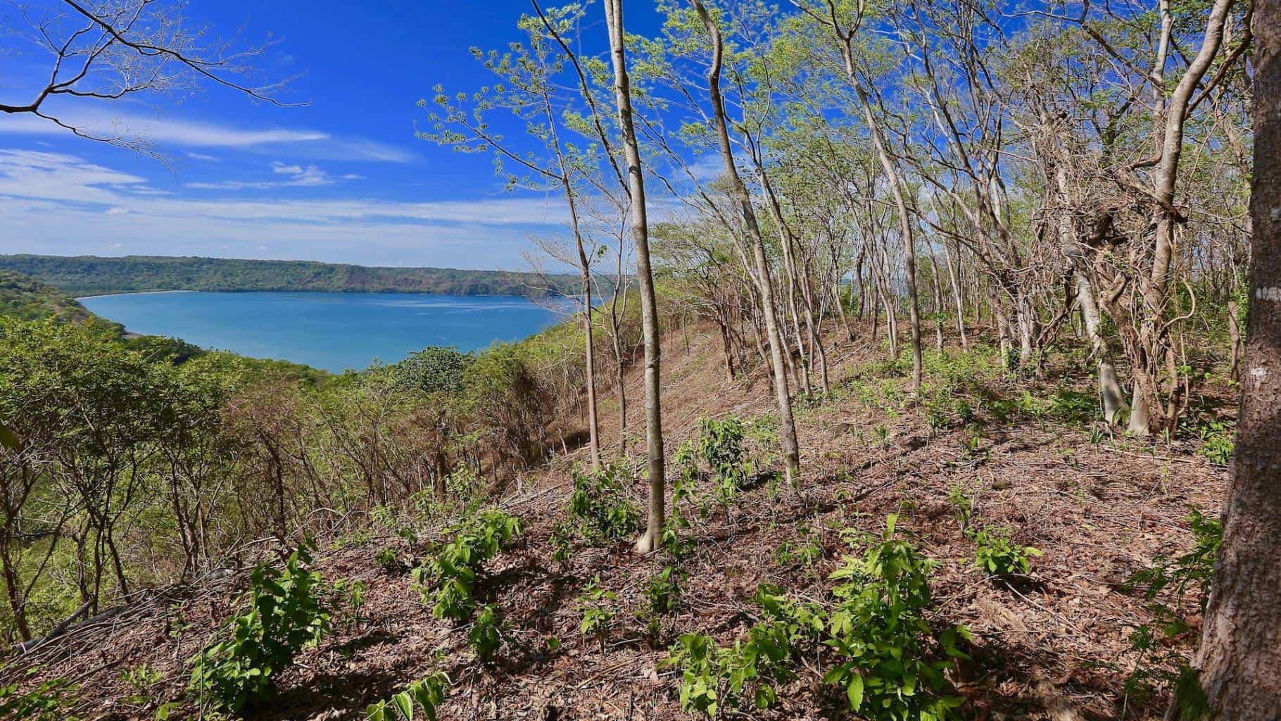 Reserva Papagayo: Explore the Wonders of Papagayo