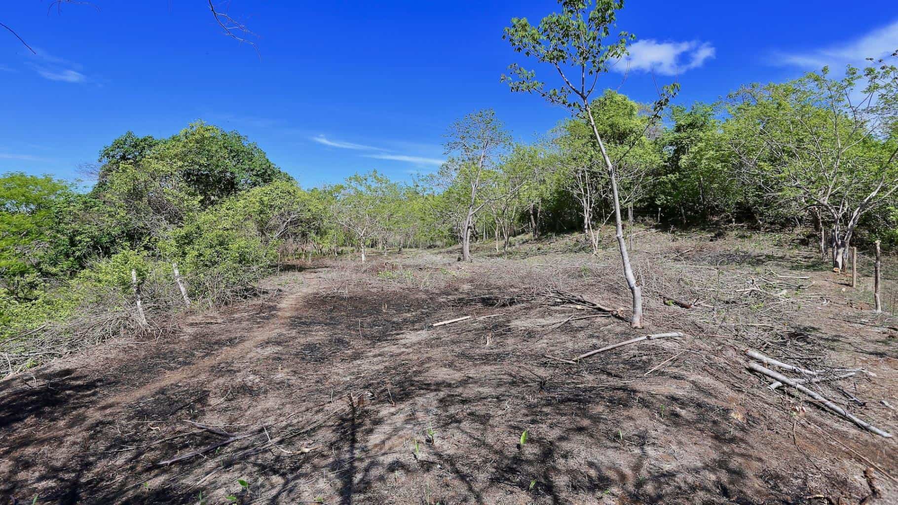Reserva Papagayo: Explore the Wonders of Papagayo