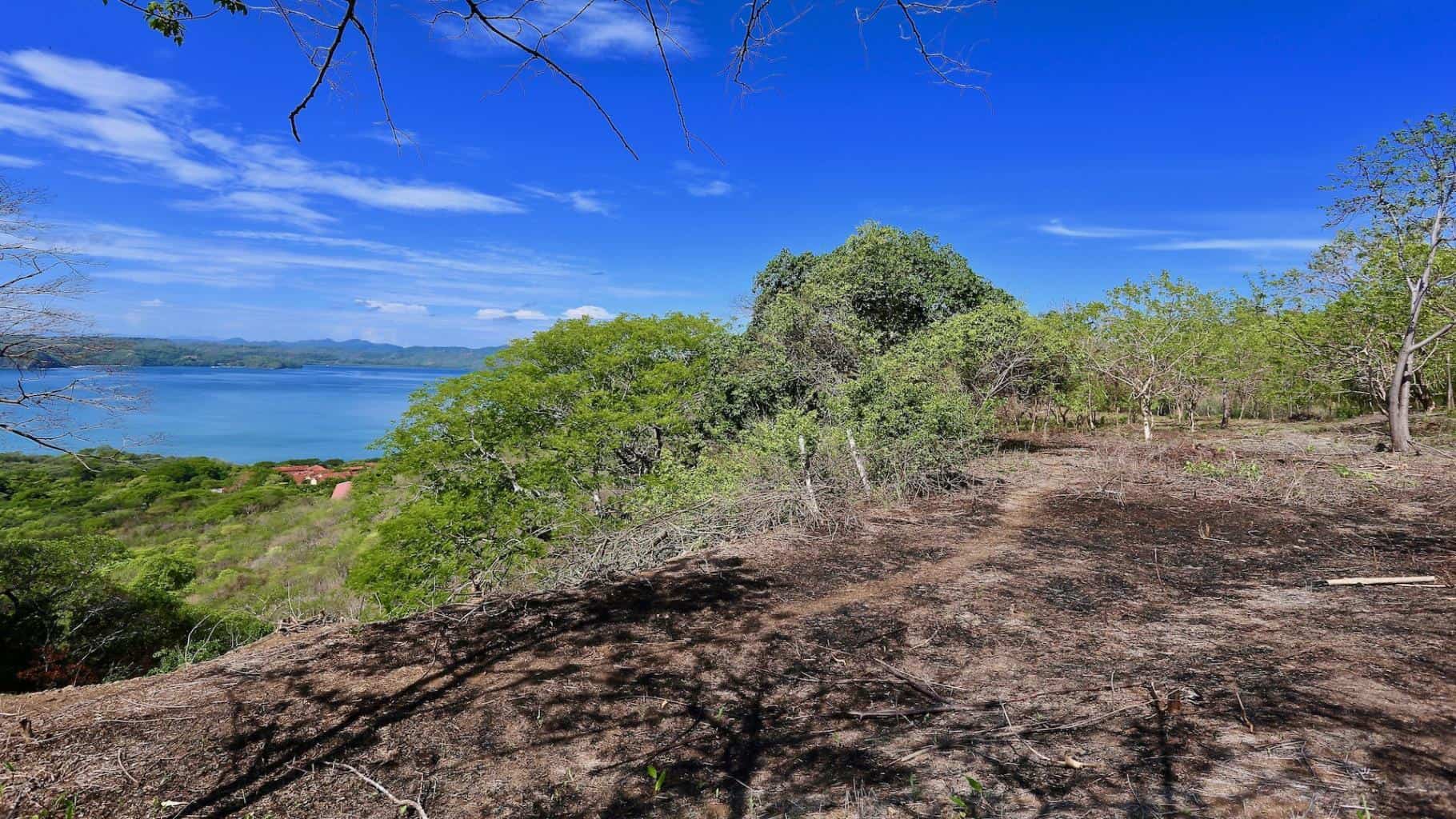 Reserva Papagayo: Explore the Wonders of Papagayo