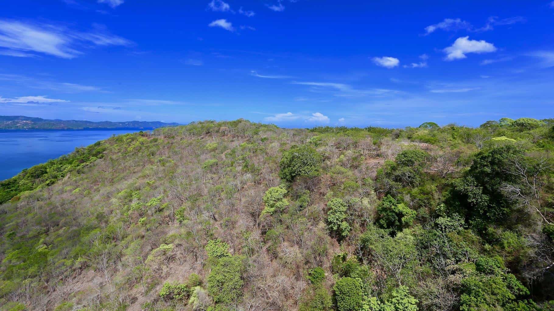 Reserva Papagayo: Explore the Wonders of Papagayo