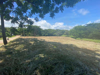 Playa Langosta - Prime Location Near Pristine Beach and Costa Rica's #1 Beach Town, Suite Worldclass Surf & Beach: Prime Living in Playa Langosta thumbnail