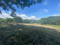 Playa Langosta - Prime Location Near Pristine Beach and Costa Rica's #1 Beach Town, Suite Worldclass Surf & Beach: Prime Living in Playa Langosta thumbnail