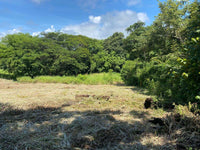 Playa Langosta - Prime Location Near Pristine Beach and Costa Rica's #1 Beach Town, Suite Worldclass Surf & Beach: Prime Living in Playa Langosta thumbnail