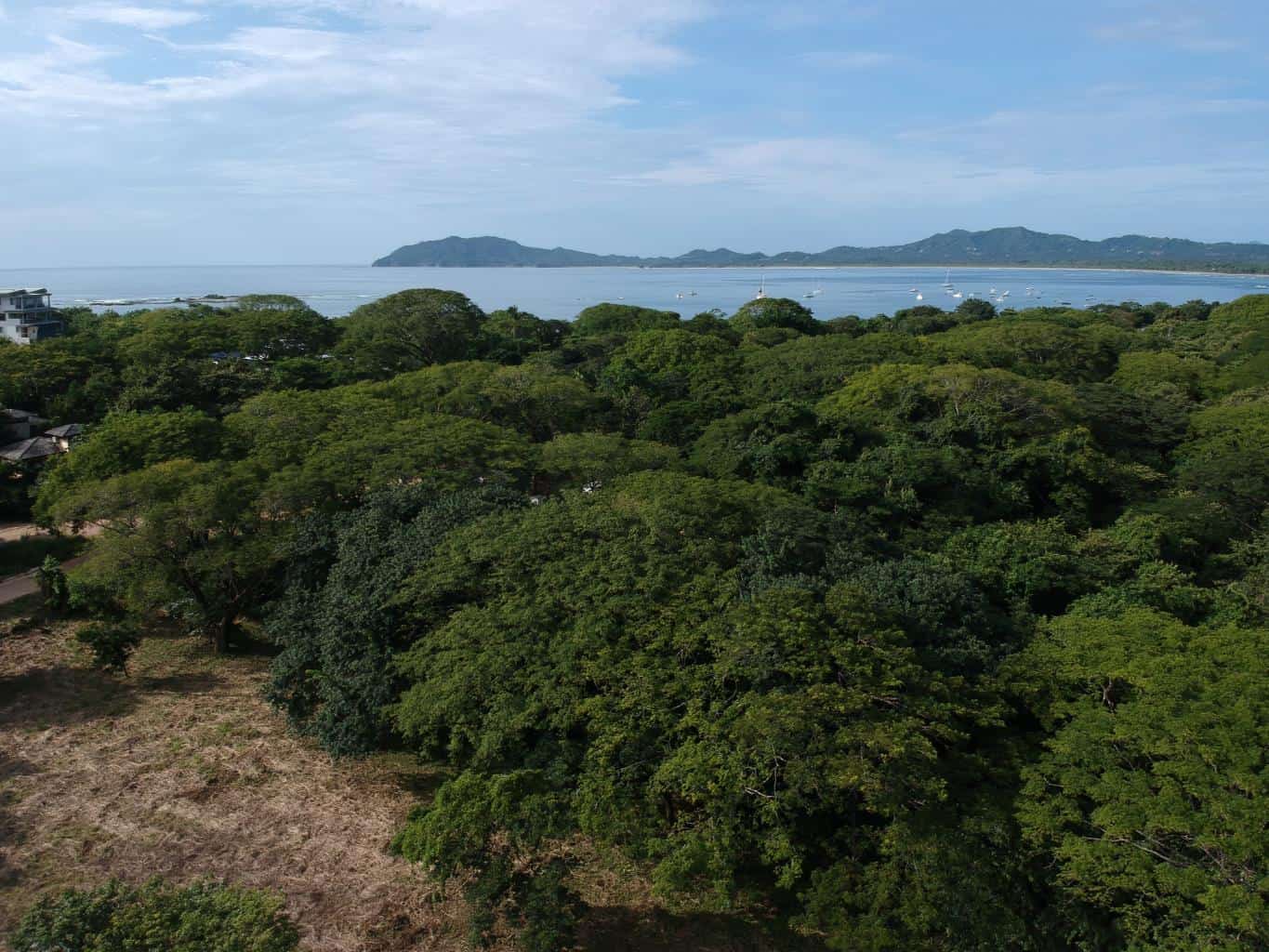 Playa Langosta - Prime Location Near Pristine Beach and Costa Rica's #1 Beach Town, Suite Worldclass Surf & Beach: Prime Living in Playa Langosta