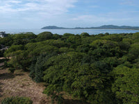 Playa Langosta - Prime Location Near Pristine Beach and Costa Rica's #1 Beach Town, Suite Worldclass Surf & Beach: Prime Living in Playa Langosta thumbnail