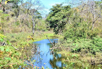 Papagayo unobstructed Ocean View thumbnail