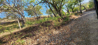 Large Lot by The Beach thumbnail