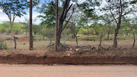 Lot 6 – Matapalo Springs thumbnail