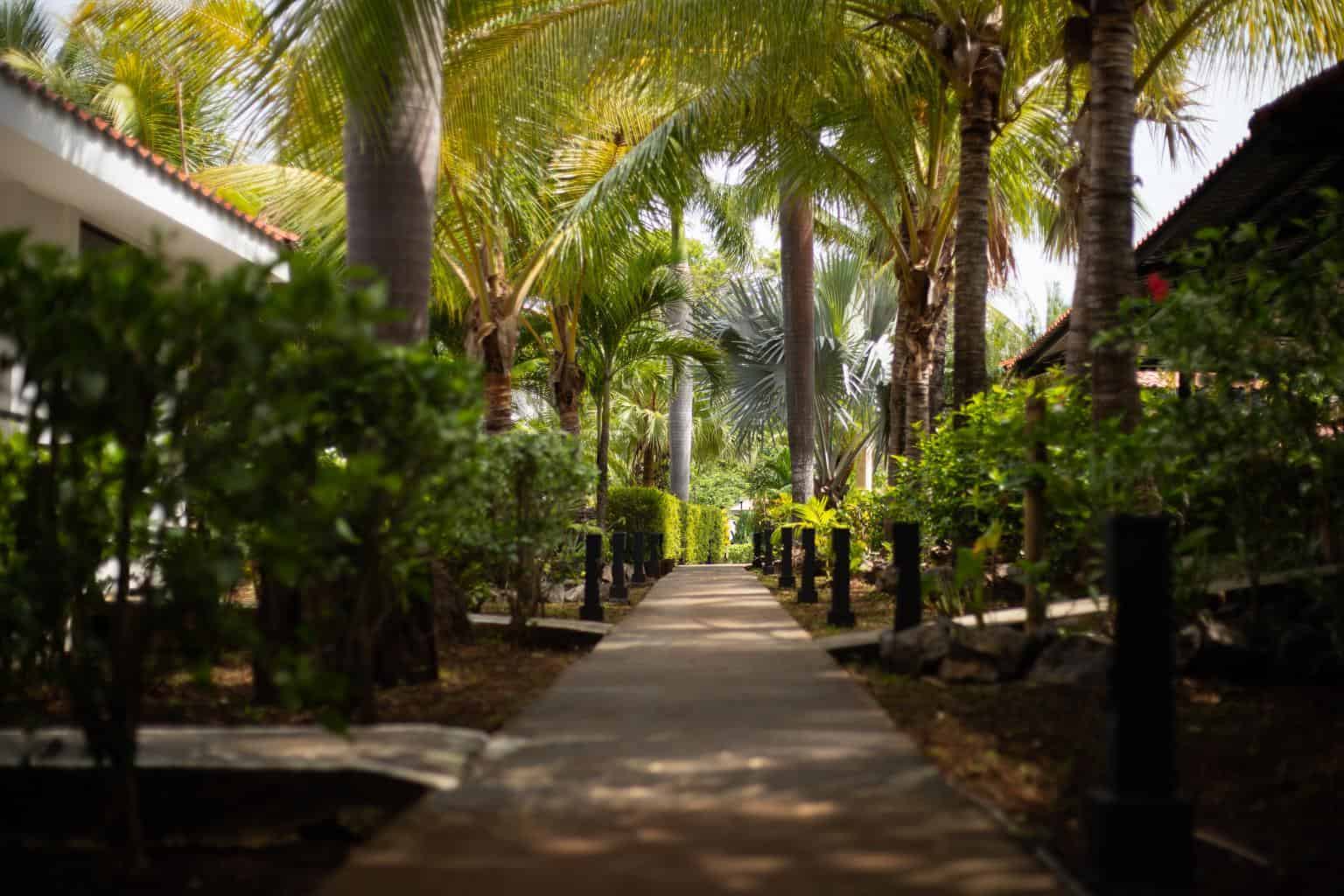 Drift Away Lodge: An Exceptional Income Opportunity