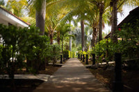 Drift Away Lodge: An Exceptional Income Opportunity thumbnail