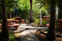 Drift Away Lodge: An Exceptional Income Opportunity thumbnail