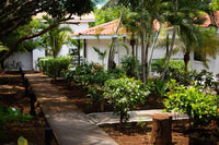 Drift Away Lodge: An Exceptional Income Opportunity thumbnail