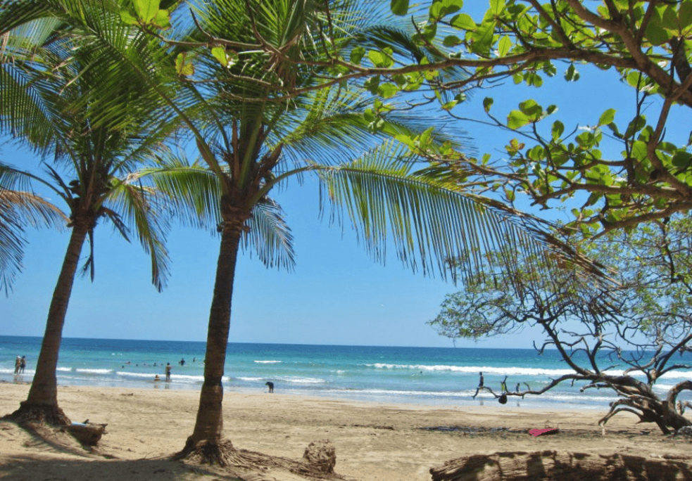 THE POINT AVELLANAS GATED COMMUNITY: Your Gateway to the Gold Coast