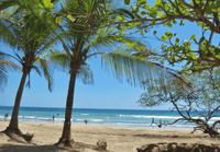 THE POINT AVELLANAS GATED COMMUNITY: Your Gateway to the Gold Coast thumbnail