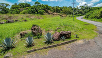 Hacienda del Mar 26: Hacienda Living - Lot 26 thumbnail