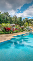 THE POINT AVELLANAS GATED COMMUNITY: Your Gateway to the Gold Coast thumbnail