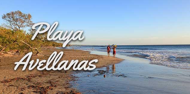 THE POINT AVELLANAS GATED COMMUNITY: Your Gateway to the Gold Coast