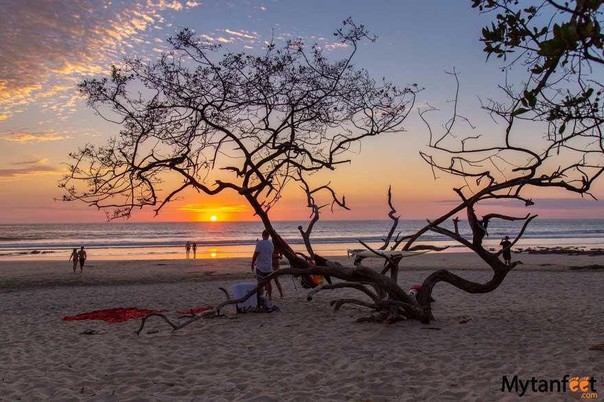 THE POINT AVELLANAS GATED COMMUNITY: Your Gateway to the Gold Coast