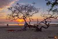 THE POINT AVELLANAS GATED COMMUNITY: Your Gateway to the Gold Coast thumbnail