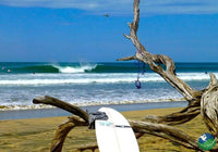 THE POINT AVELLANAS GATED COMMUNITY: Your Gateway to the Gold Coast thumbnail