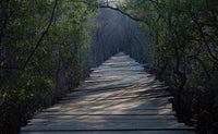 THE POINT AVELLANAS GATED COMMUNITY: Your Gateway to the Gold Coast thumbnail