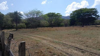 Lot in Brasilito: 6,522 Sq. Meters, 2 Min Drive to the Beach! thumbnail