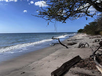 Beachfront Lot 7,435 Square Meters Playa Avellanas/Playa Lagartillo: Your Beachfront Canvas thumbnail