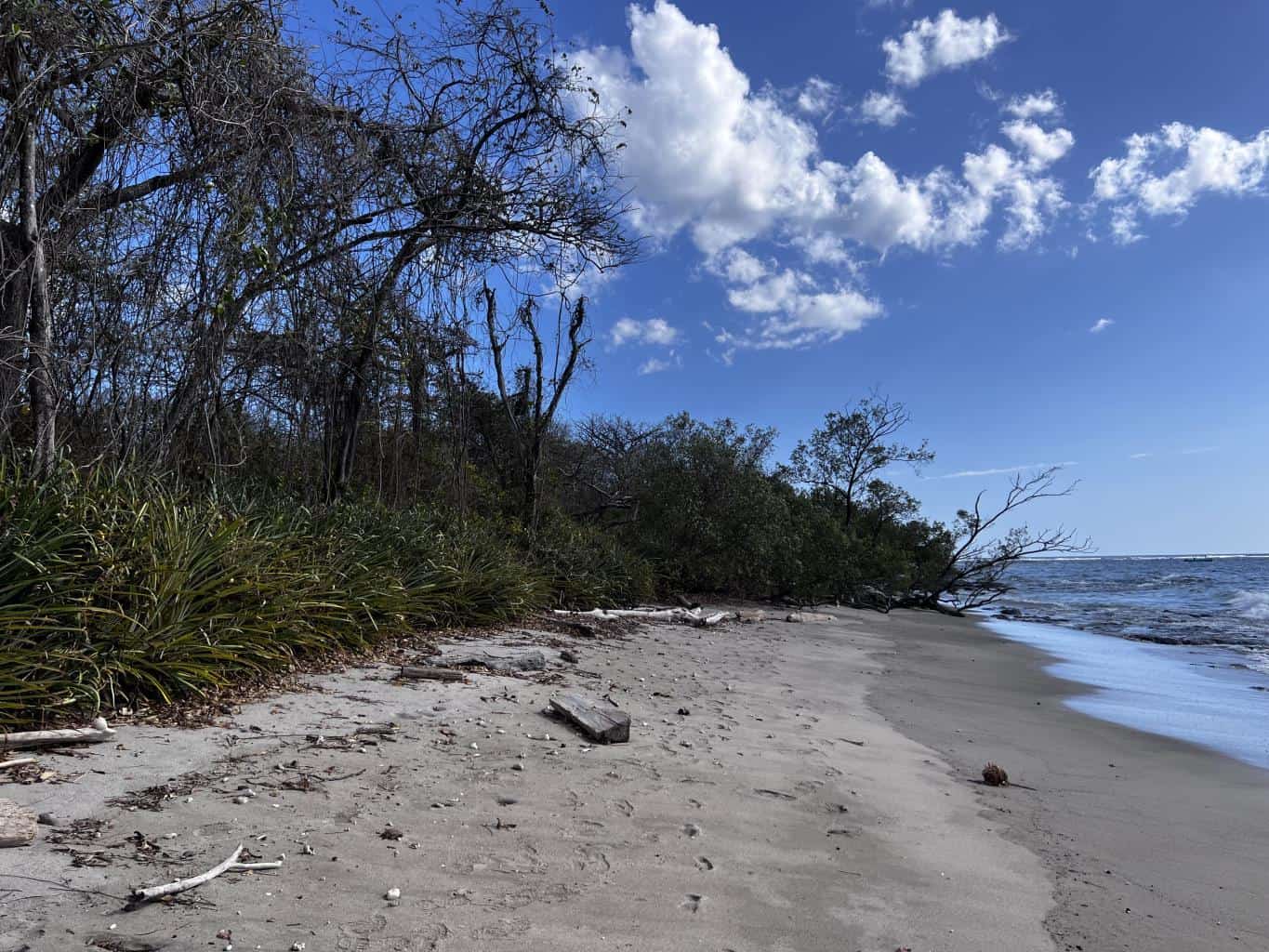 Beachfront Lot 7,435 Square Meters Playa Avellanas/Playa Lagartillo: Your Beachfront Canvas