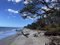 Beachfront Lot 7,435 Square Meters Playa Avellanas/Playa Lagartillo: Your Beachfront Canvas thumbnail