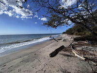 Beachfront Lot 7,435 Square Meters Playa Avellanas/Playa Lagartillo: Your Beachfront Canvas thumbnail