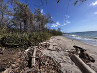 Beachfront Lot 7,435 Square Meters Playa Avellanas/Playa Lagartillo: Your Beachfront Canvas thumbnail