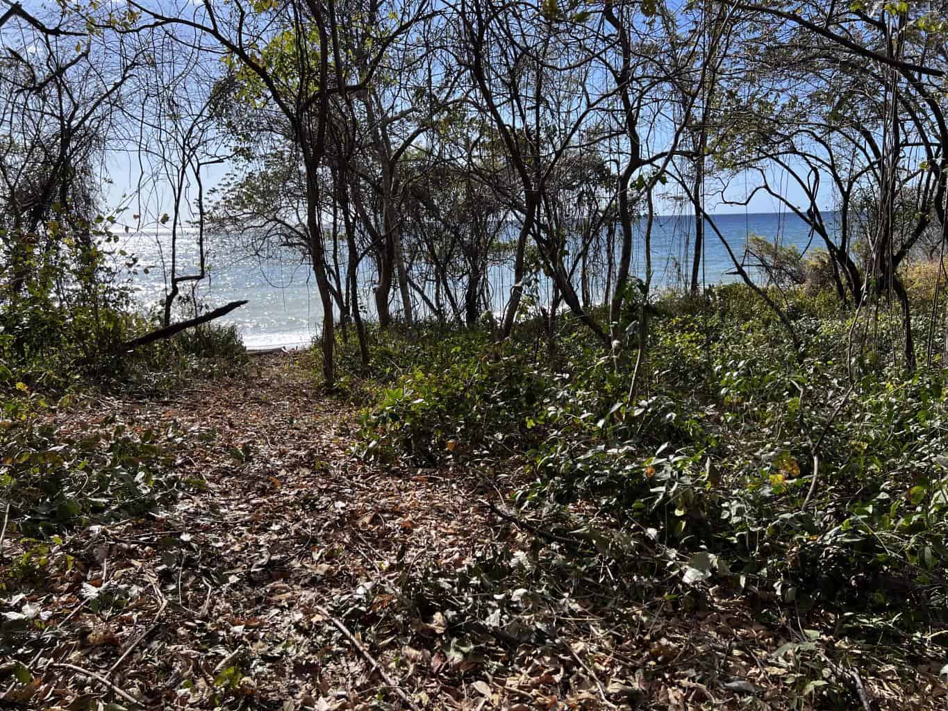 Beachfront Lot 7,435 Square Meters Playa Avellanas/Playa Lagartillo: Your Beachfront Canvas