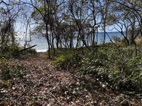 Beachfront Lot 7,435 Square Meters Playa Avellanas/Playa Lagartillo: Your Beachfront Canvas thumbnail