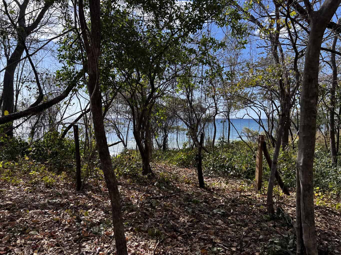 Beachfront Lot 7,435 Square Meters Playa Avellanas/Playa Lagartillo: Your Beachfront Canvas