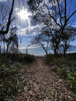 Beachfront Lot 7,435 Square Meters Playa Avellanas/Playa Lagartillo: Your Beachfront Canvas thumbnail