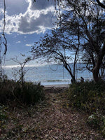 Beachfront Lot 7,435 Square Meters Playa Avellanas/Playa Lagartillo: Your Beachfront Canvas thumbnail