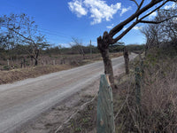 Beachfront Lot 7,435 Square Meters Playa Avellanas/Playa Lagartillo: Your Beachfront Canvas thumbnail