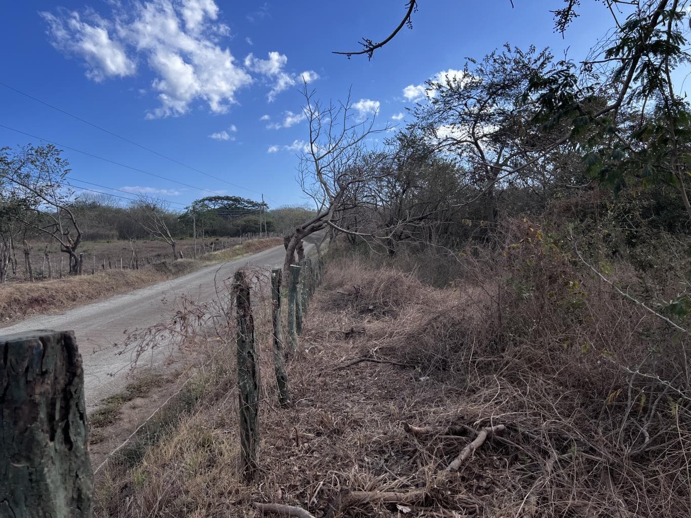 Beachfront Lot 7,435 Square Meters Playa Avellanas/Playa Lagartillo: Your Beachfront Canvas