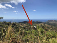 Pacific Heights Flamingo Ocean View Lot 4: Elevated Living with Ocean Vistas thumbnail