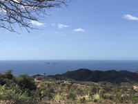 Pacific Heights Flamingo Ocean View Lot 4: Elevated Living with Ocean Vistas thumbnail