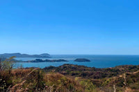 Pacific Heights Flamingo Ocean View Lot 4: Elevated Living with Ocean Vistas thumbnail